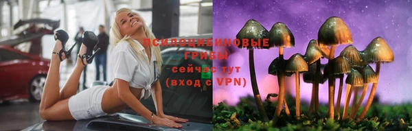 PSILOCYBIN Богородицк
