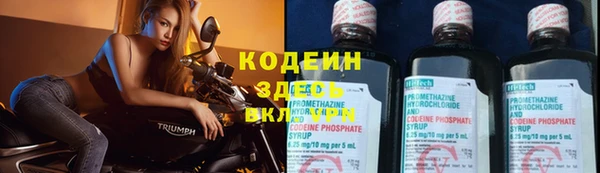 PSILOCYBIN Богородицк