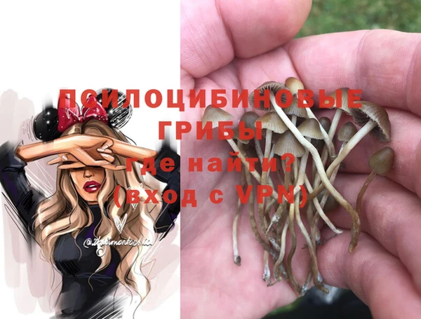 PSILOCYBIN Богородицк