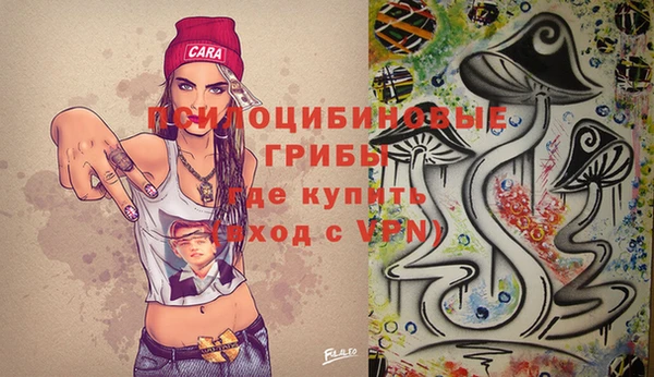 PSILOCYBIN Богородицк