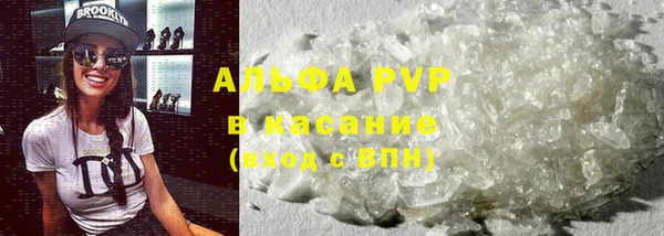 PSILOCYBIN Богородицк