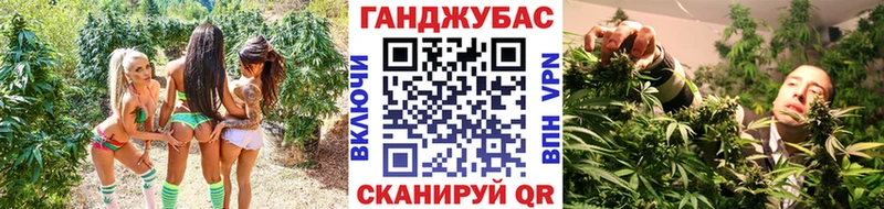 купить наркотики сайты  Малая Вишера  Конопля тримм 
